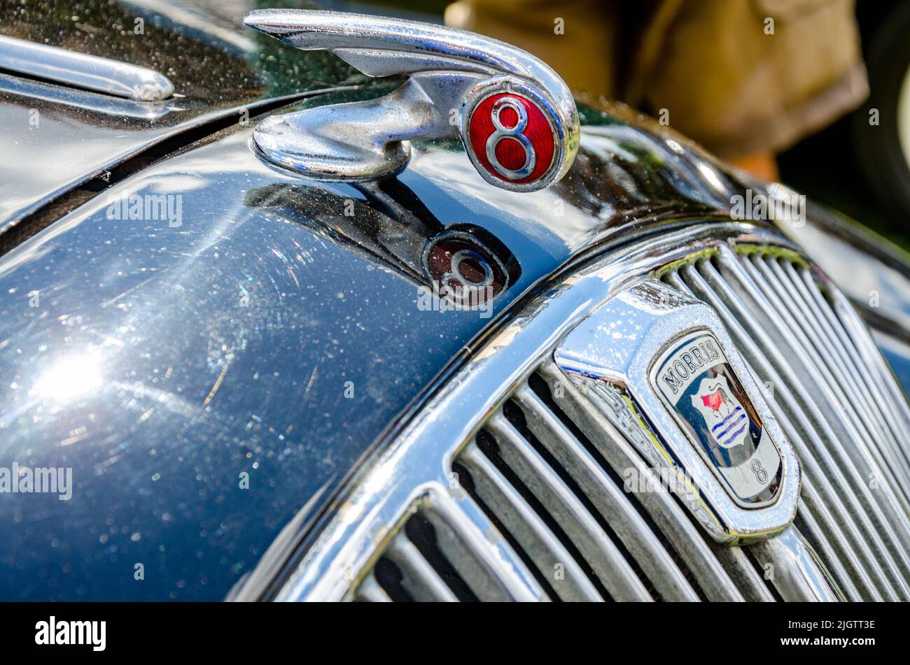 Close up of the 'Morris 8' figurehead on the bonnet of a classic Morris 8 Series E vintage car at The Berkshire Motor Show in Reading, UK Stock Photo