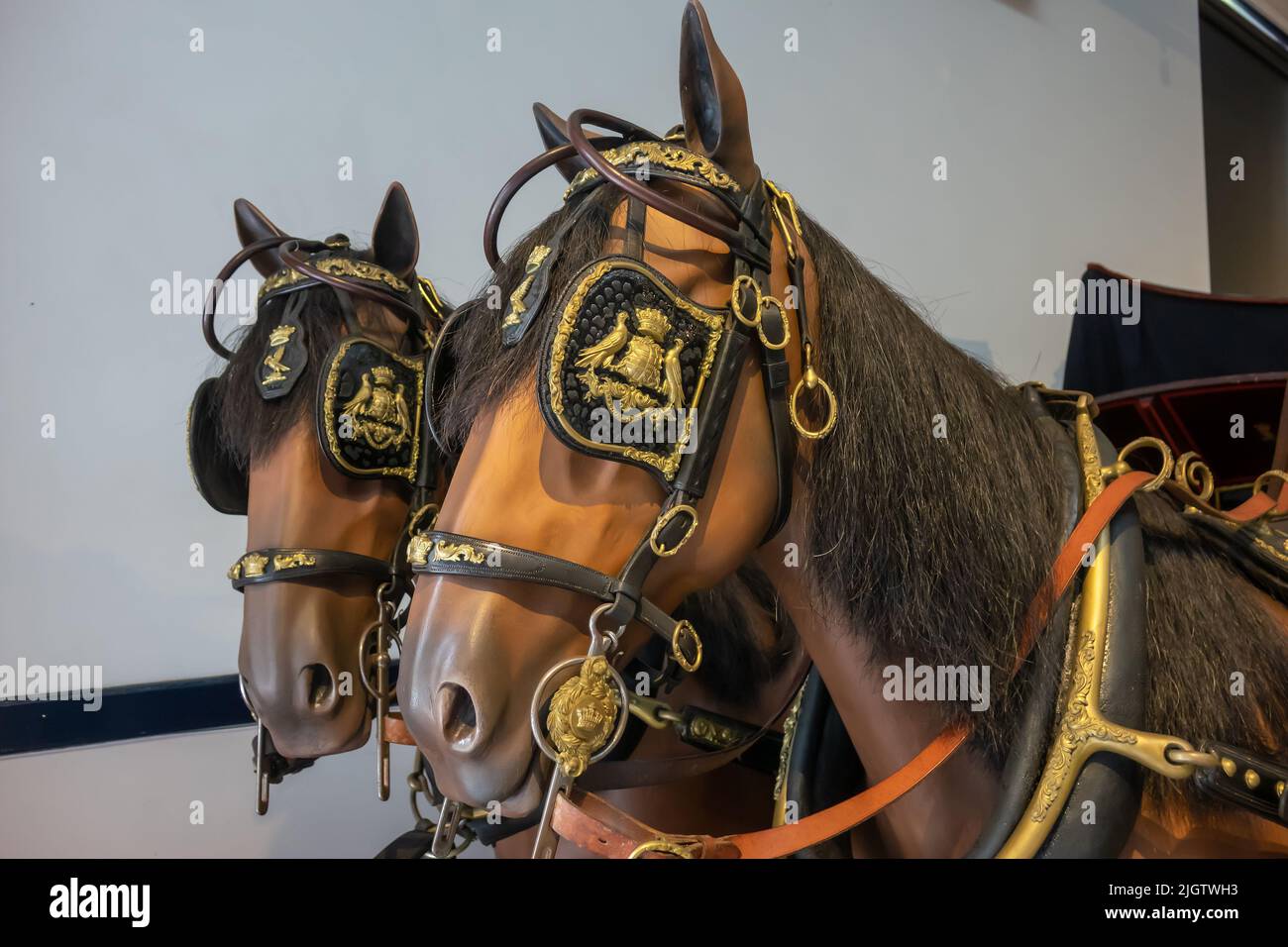 Horses harness hi-res stock photography and images - Alamy