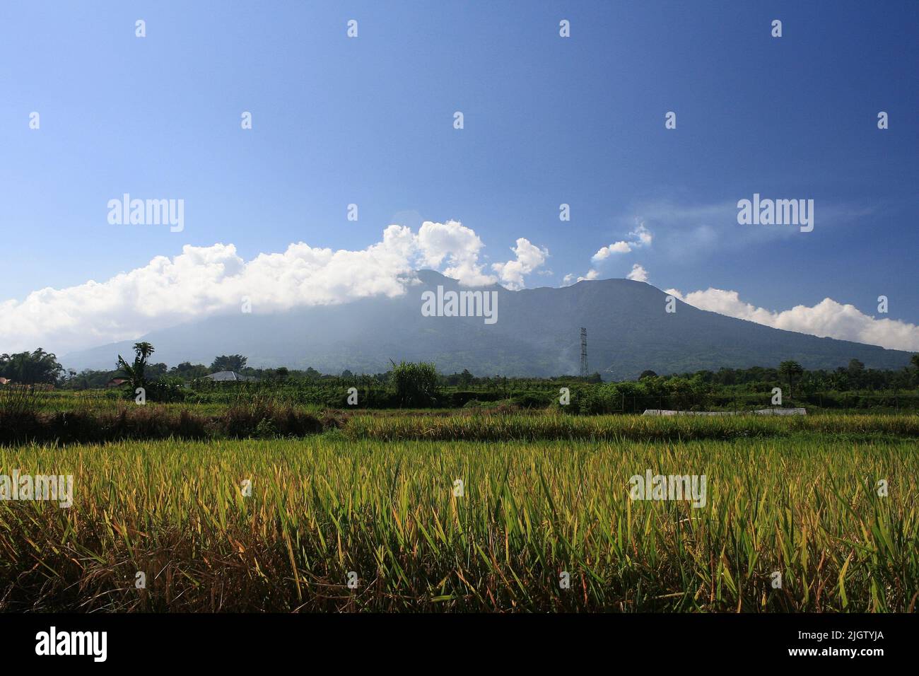 Panorama view of Mount Marapi from Bukittinggi city in West Sumatra Indonesia during sunrise with rice field and blue sky background. Stock Photo