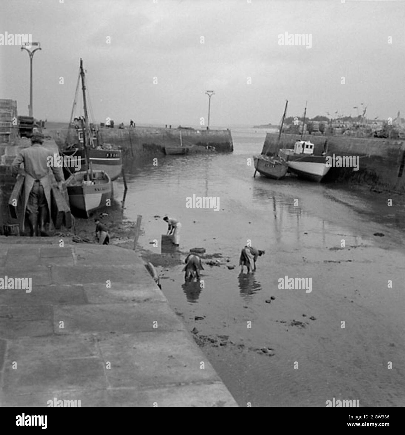 9. France. Photo journal is available at B.M.A. + Photo albums. Acquisition: Books and archive materials. Photos taken 1959-10-17.12 Pictures in series. According to notes: France. Atlantic coast, Le Croisic, 17/10 -59. The fishing gear is cleaned. A number of boats are located in a port, there is low tide. At the bottom of the harbor basin are four women and clean fishing gear. On the pier on the left, a man with a few fishing boxes goes in his hands. Stock Photo