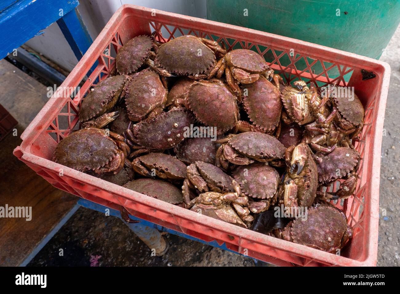 Fresh crabs for sale at a dockside fish market by the boat basin in