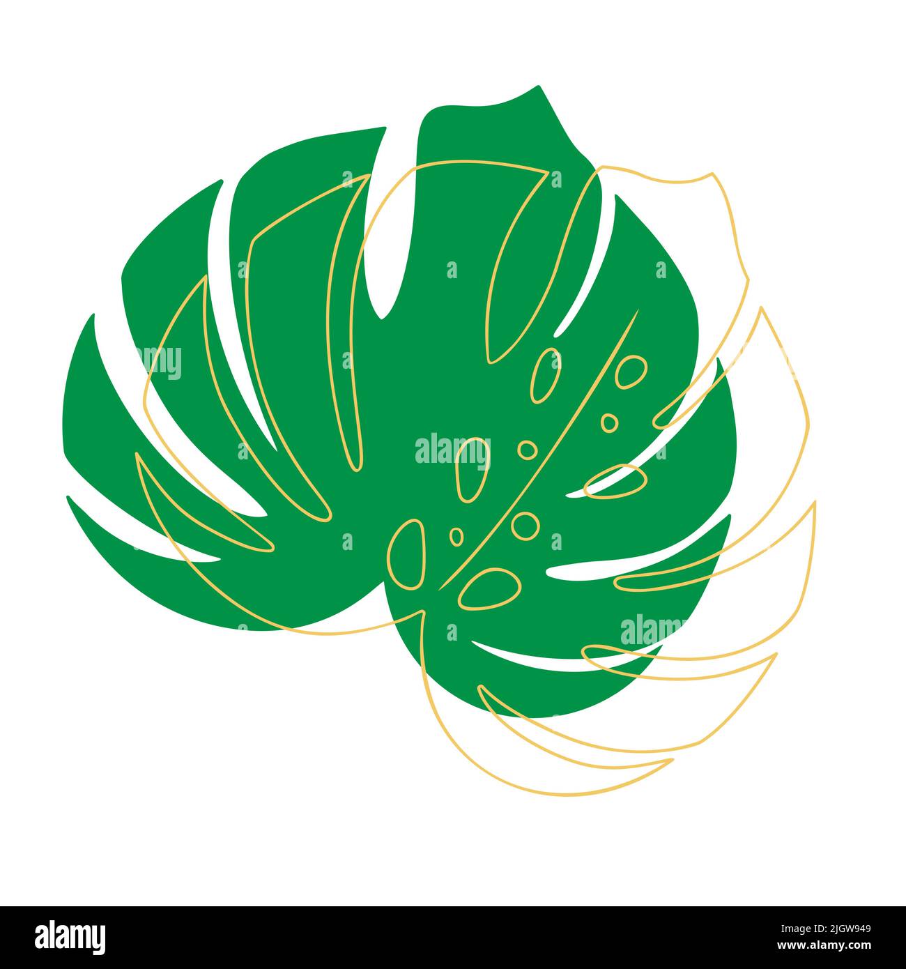 Tropical leaf vector illustration on white background Stock Vector ...