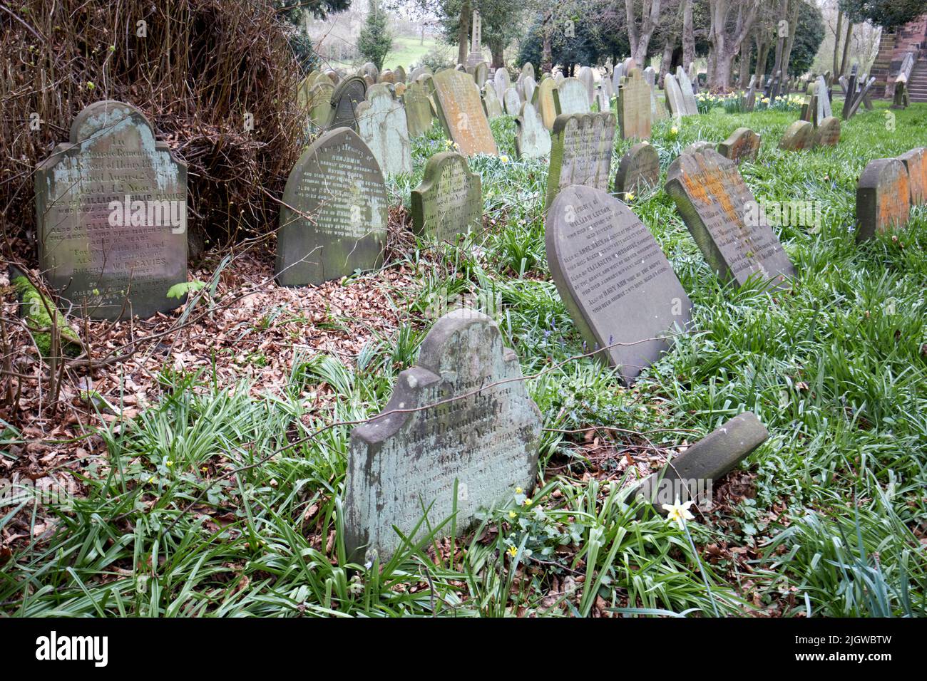 19th century old headstones in the grounds of St Chads church and graveyard Kirkby Merseyside England uk St Chads is on a site recorded in the domesda Stock Photo