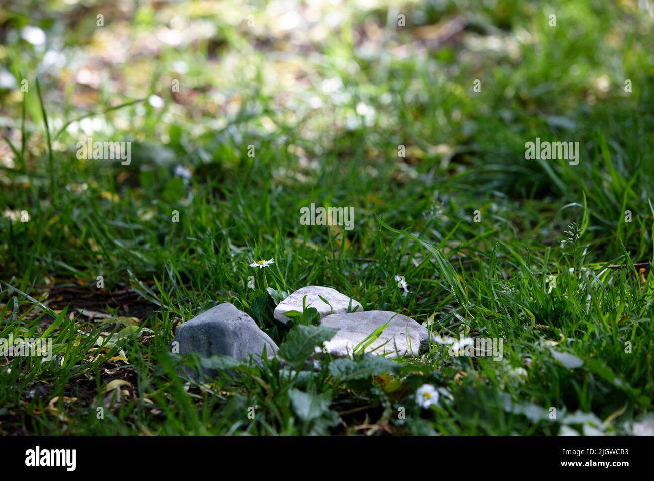 group of stones light by sunlight lying in grass Stock Photo