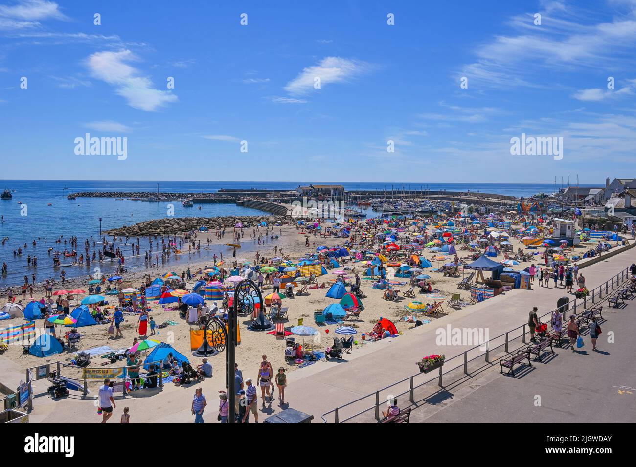 Lyme regis sandy beach hi-res stock photography and images - Alamy