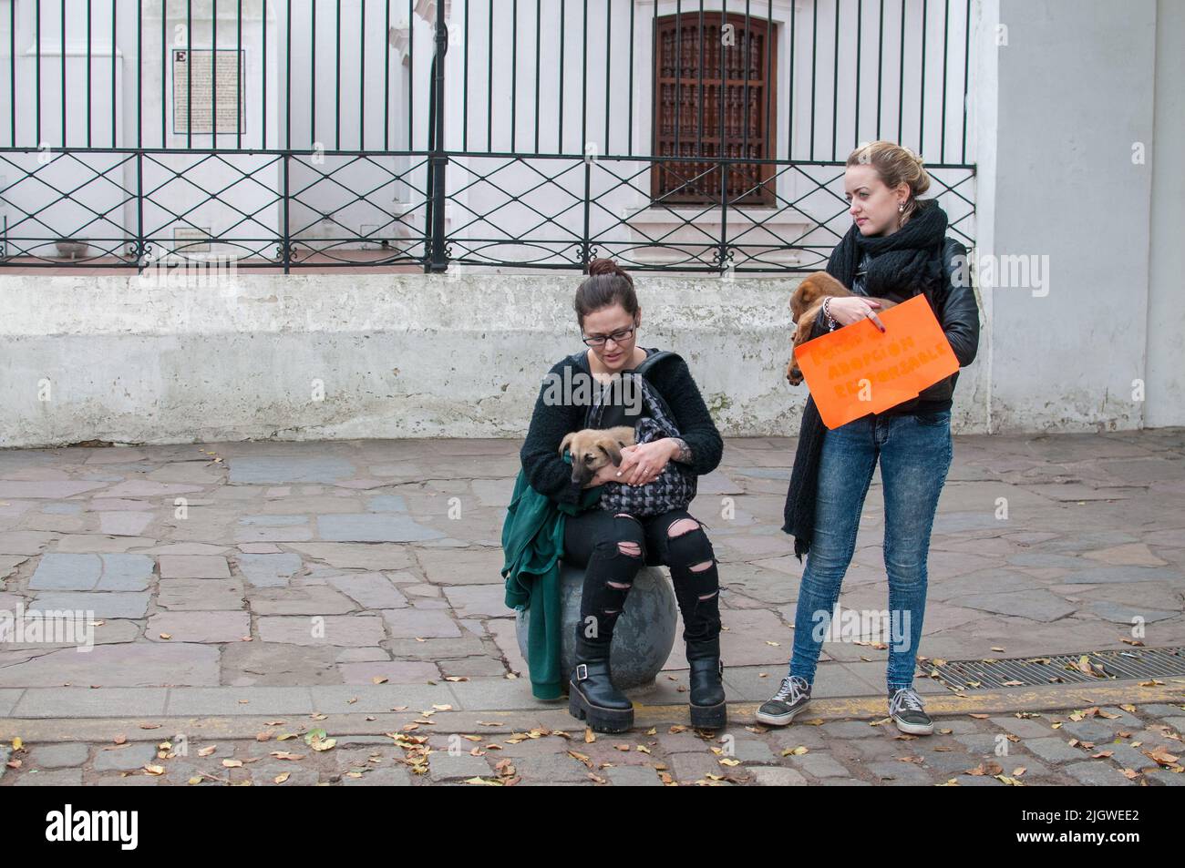 The two young Caucasian girls offering puppies for responsible adoption in Recoleta, Buenos Aires, Argentina Stock Photo