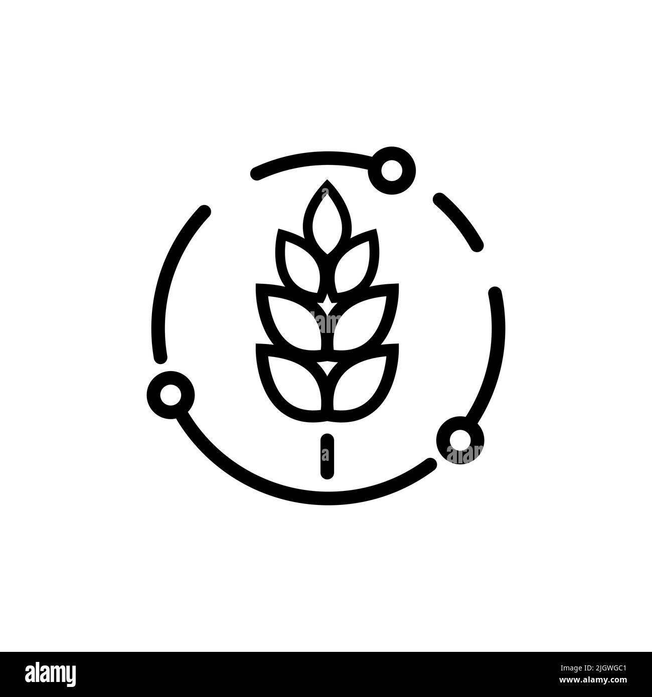 Simple oat growth design concept. Farm agriculture oat cycle sign Stock Vector