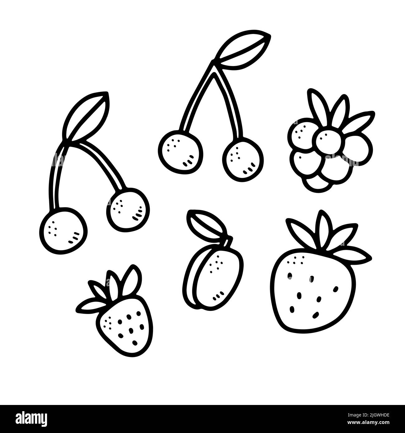 Blackberry white Black and White Stock Photos & Images - Page 2