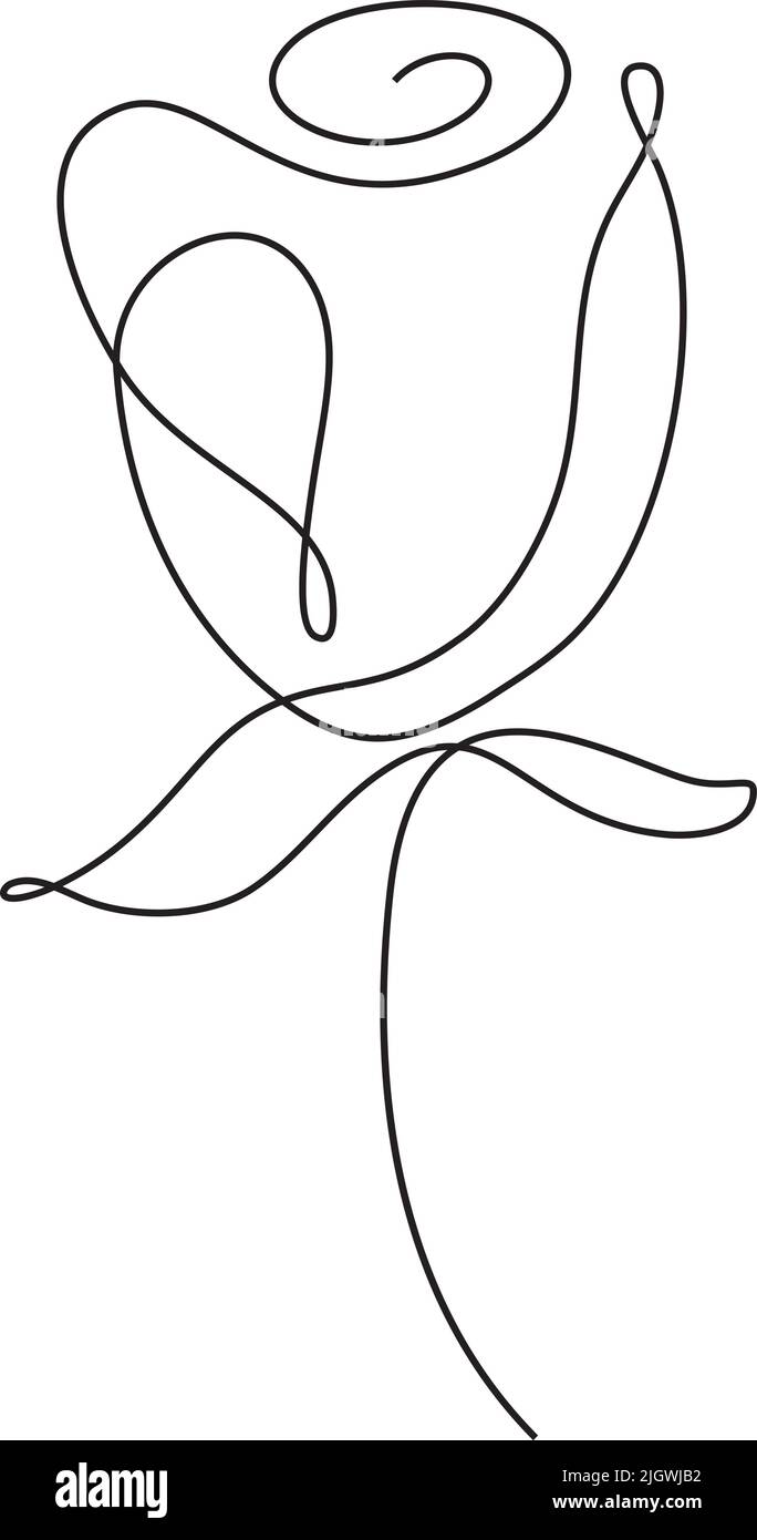 Vector Hand Drawn One Line Art Drawing of Flower Rose. Minimalist ...