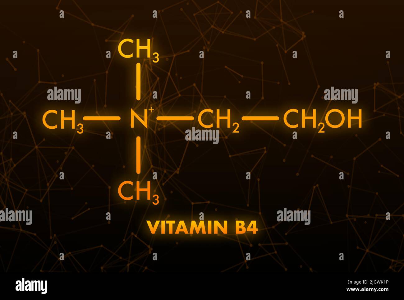 Vitamin b4. Vitamin B4 Icon structure. Vector illustration Stock Vector ...