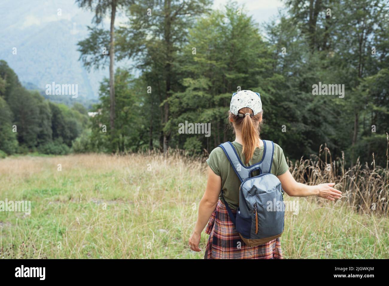 Rear view of a young woman in a cap with a backpack walking in the forest highlands in the summer and touching a growing plant enjoying nature selecti Stock Photo
