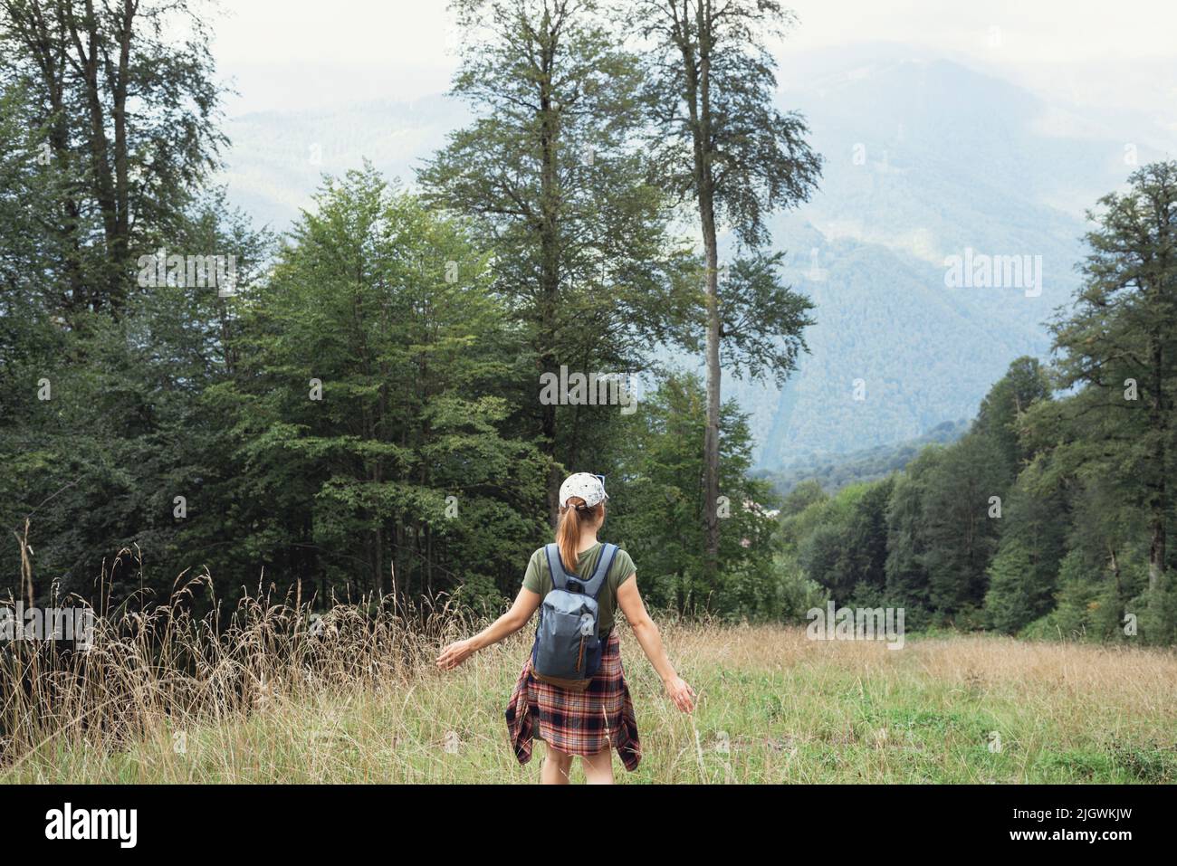 Rear view of a young woman in a cap with a backpack walking in the forest highlands in the summer and touching a growing plant enjoying nature selecti Stock Photo