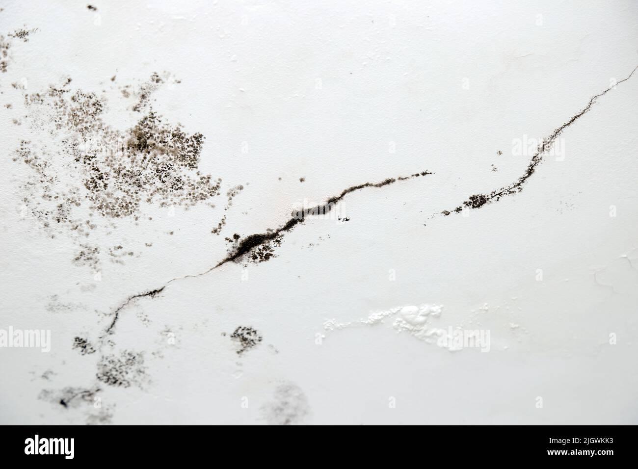 infiltration of water, mold and cracks in the wall and white roof of the house Stock Photo