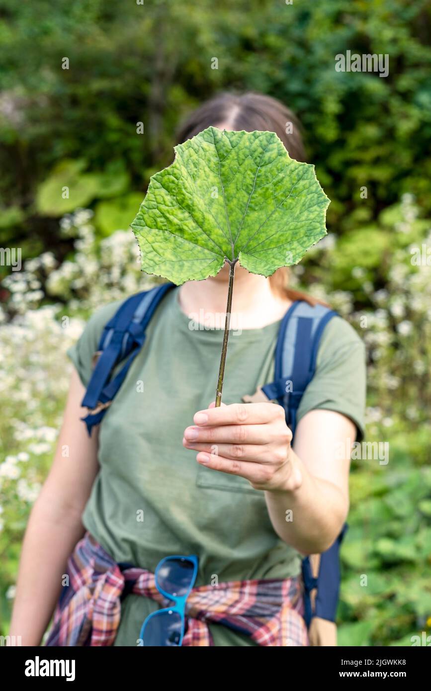 Young woman holding a green burdock leaf in her hand in front of her face in forest faceless anonymous psychological concept mockup Stock Photo
