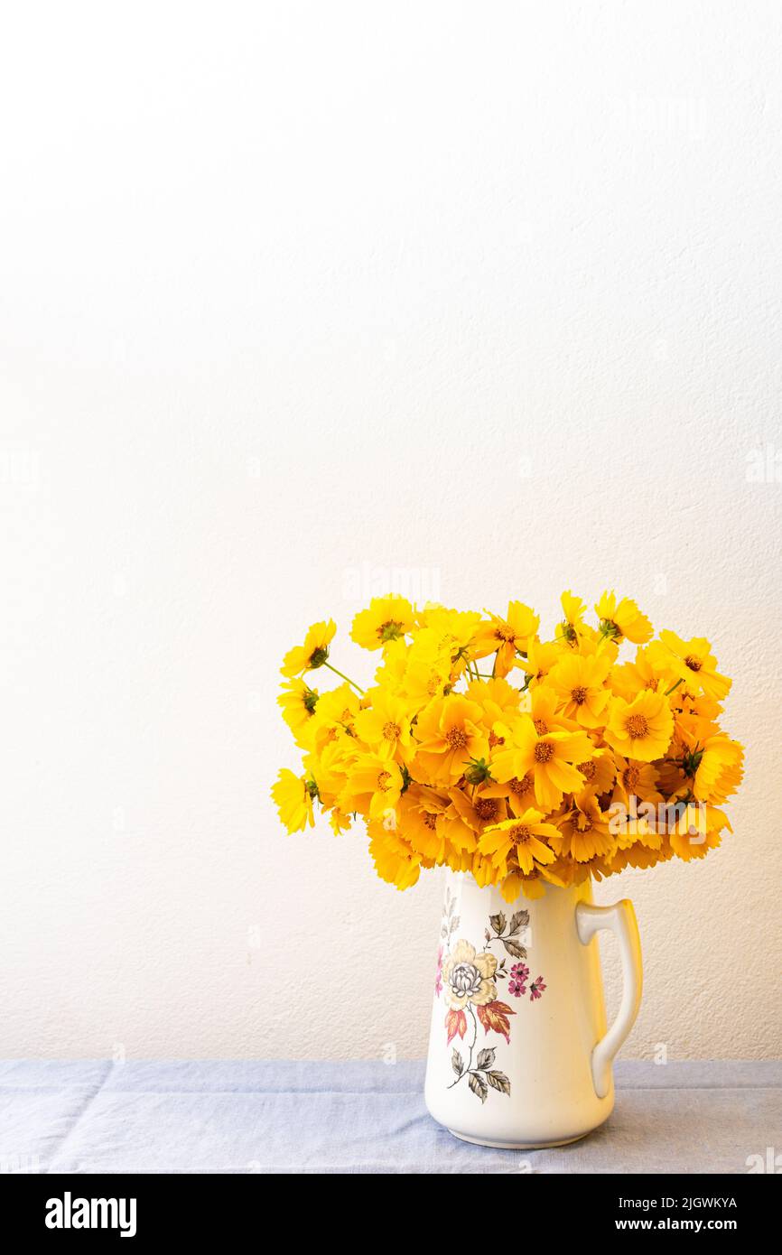 Beautiful summer flowers yellow Chamomile in a vase, part of home interior, Cota tinctoria Stock Photo