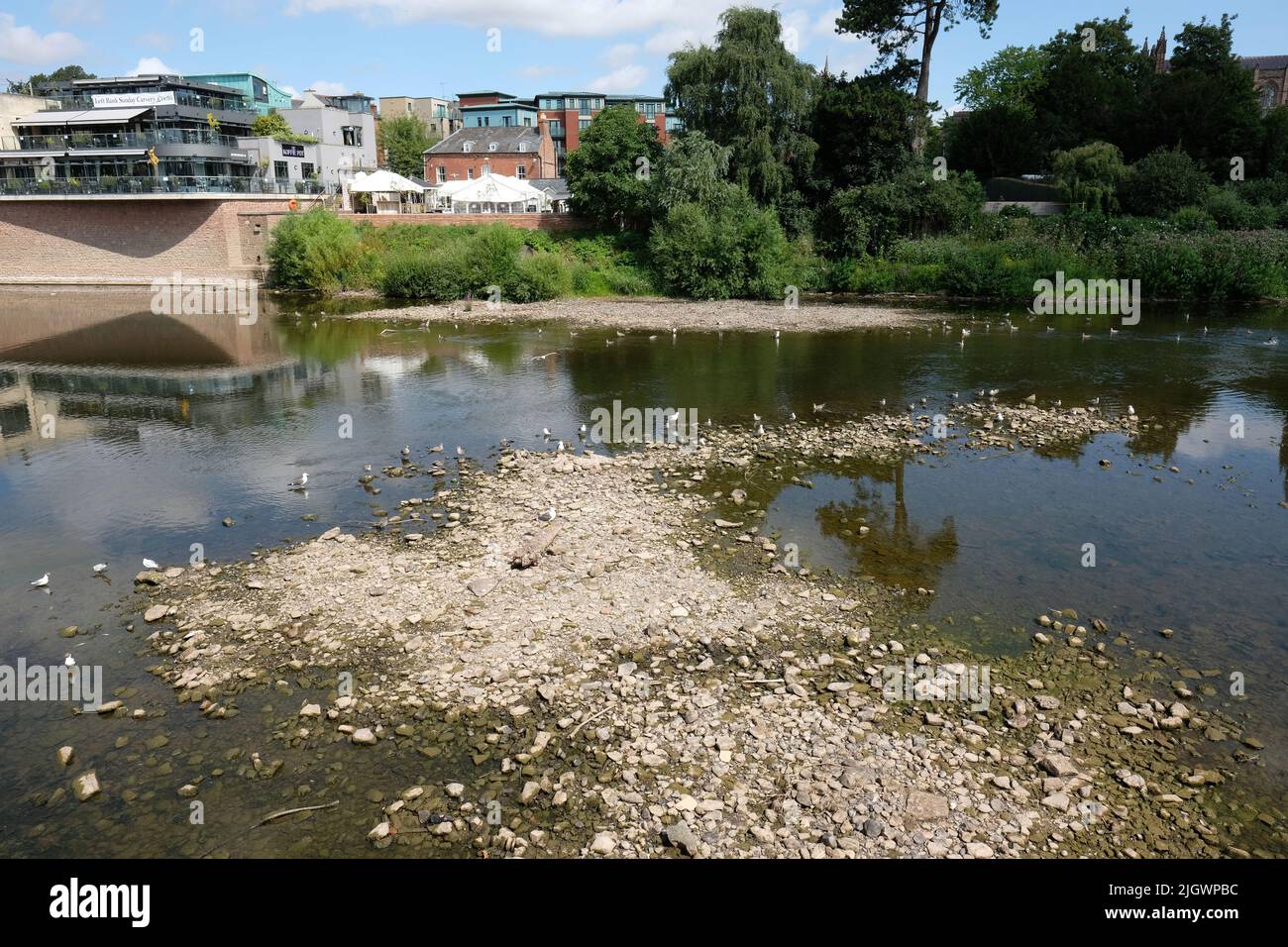 River Wye, Hereford, Herefordshire, UK – Wednesday 13th July 2022 – The river level on the River Wye as it passes through the city of Hereford is very low exposing parts of the riverbed. The Environment Agency river level gauge in the city recorded a value of less than 10cm today. The river water temperature was recorded at 20c yesterday posing a threat to fish in the river.  The local weather forecast shows no rain in the next week during a prolonged hot dry spell. Photo Steven May / Alamy Live News Stock Photo
