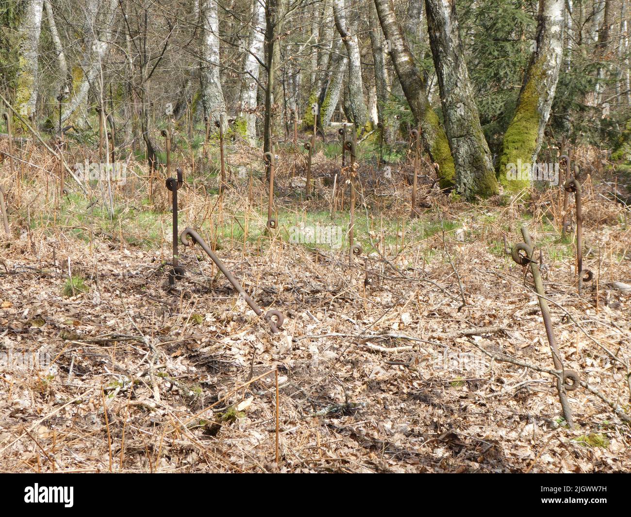 Rusty posts for barb wire fence of the Maginot line Stock Photo
