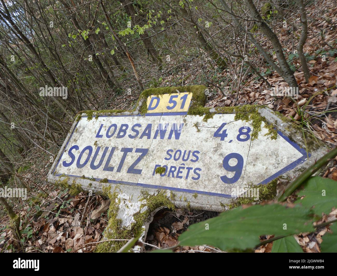 Old french cement traffic sign laying on the ground in forest Stock Photo