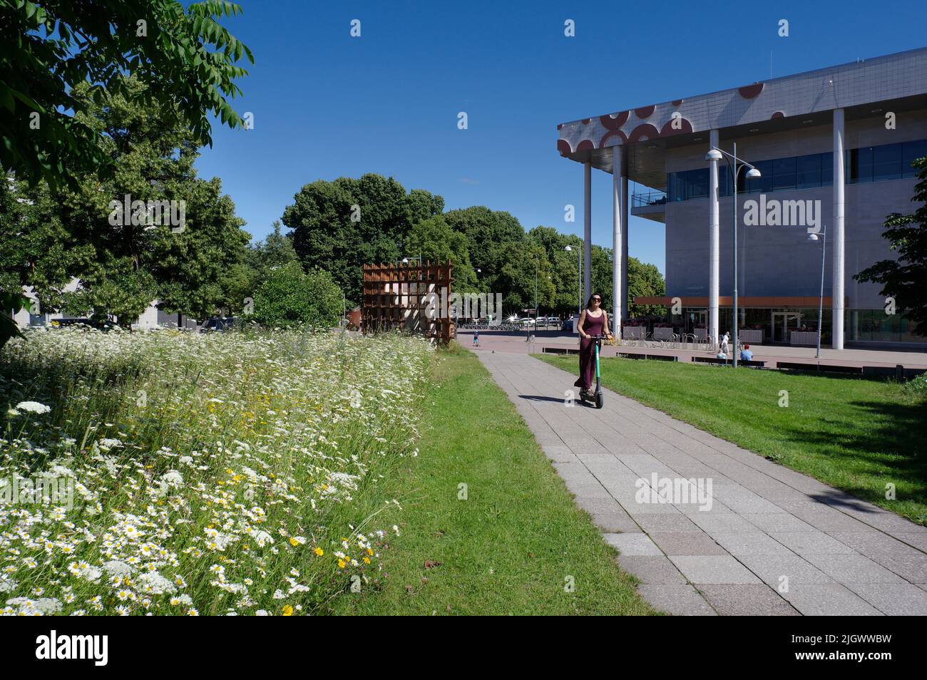 Unmown area is an attempt to create biodiversity in the center of Tartu, Estonia Stock Photo