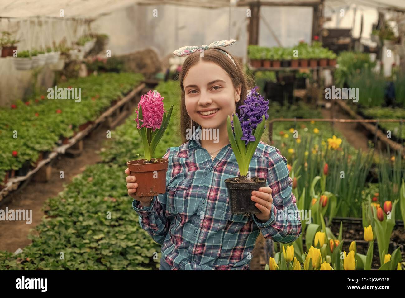 Sustainability in floristry hi-res stock photography and images - Alamy