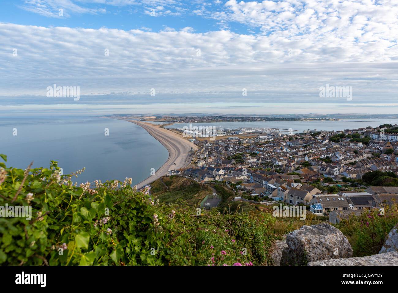 Chesil beach fossils hires stock photography and images Alamy