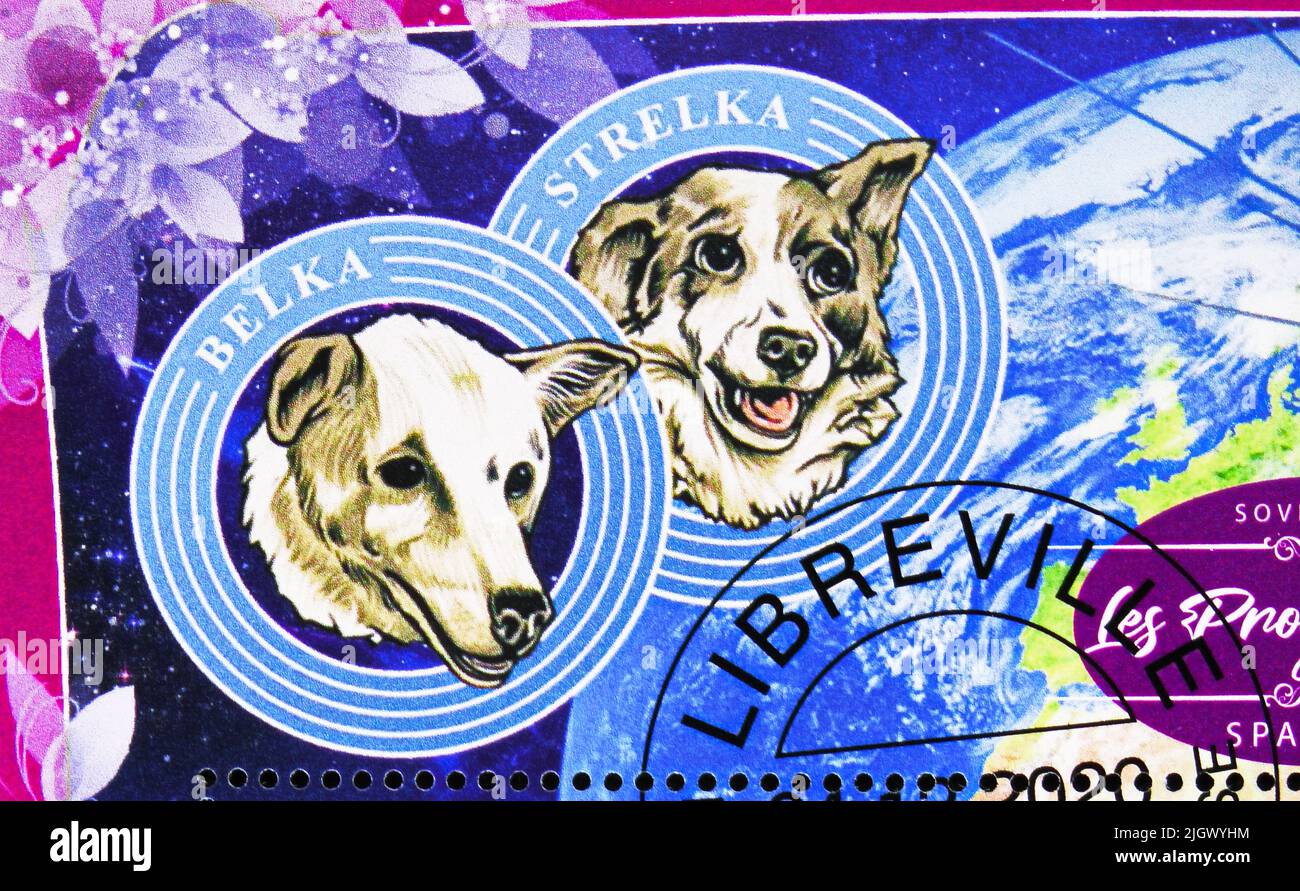 MOSCOW, RUSSIA - JUNE 17, 2022: Postage stamp printed in Gabon shows Space dogs Belka and Strelka, Space programs serie, circa 2020 Stock Photo