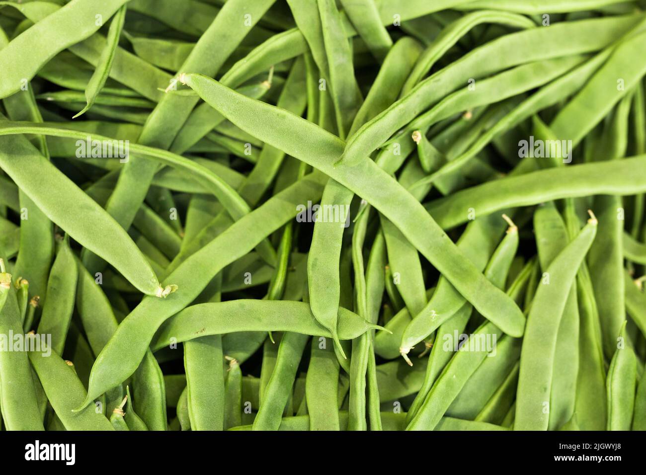 green romano beans on the counter in the market Stock Photo Alamy