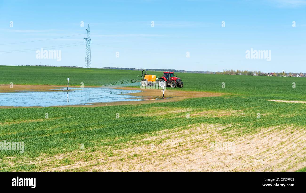 Crop failure in the field with cereals. Food crisis concept. Bad