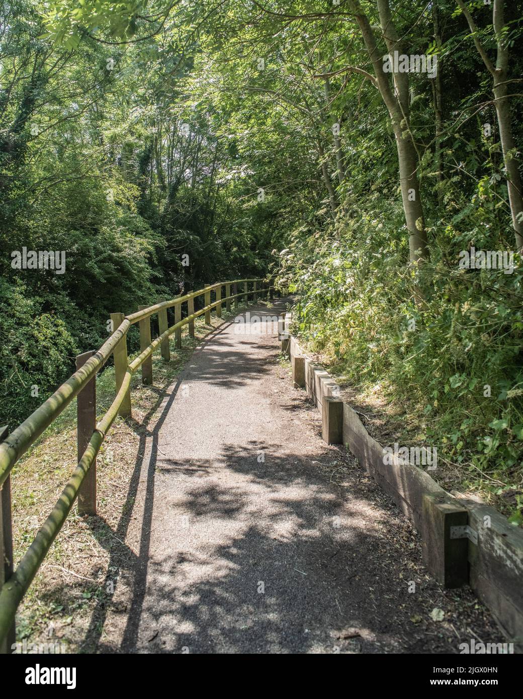 Nantwich Riverside Loop Woodland Path Portrait Cheshire Uk Stock