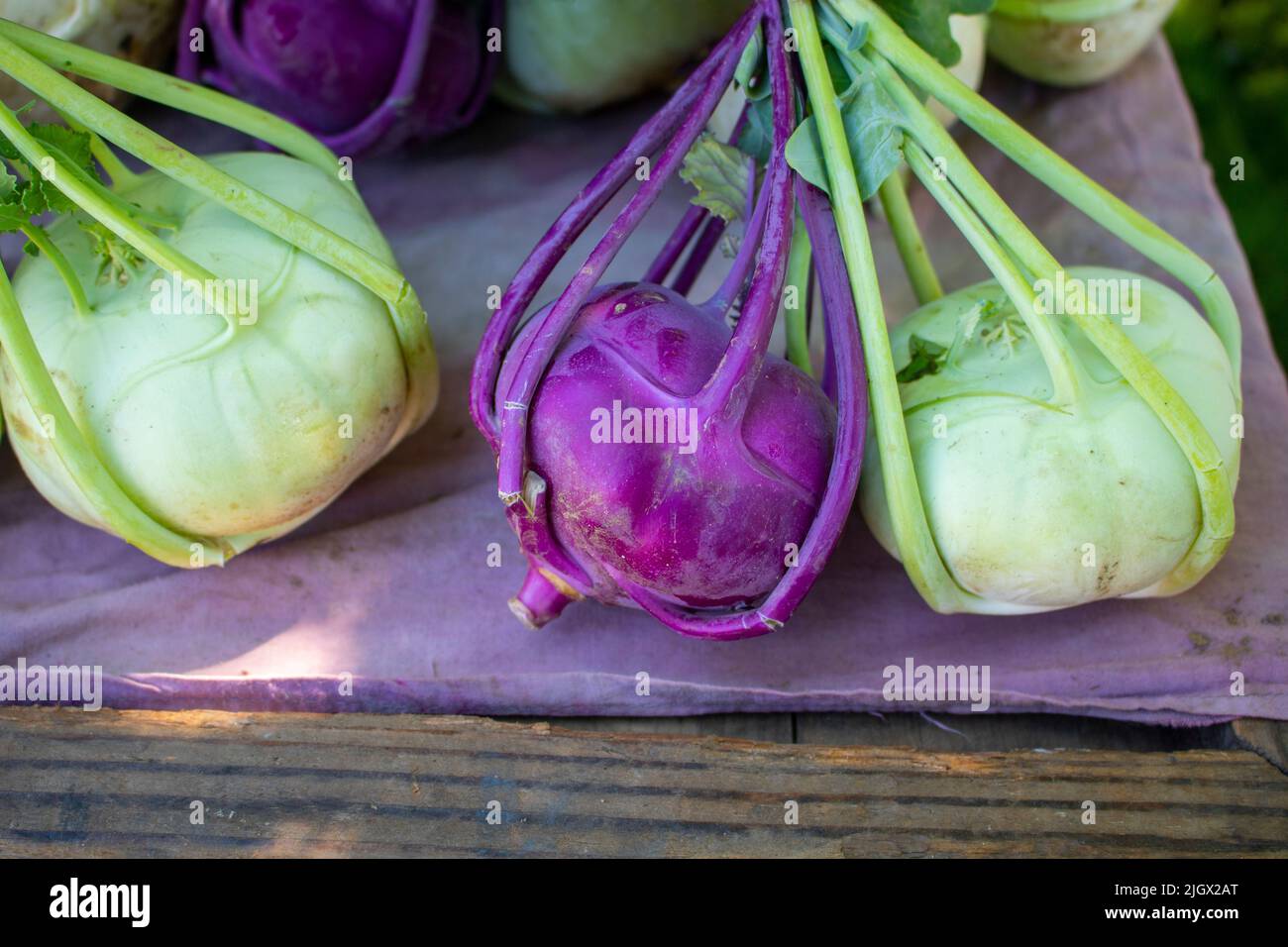 Purple and green Kolibri Kohlrabi at a farmers market Stock Photo