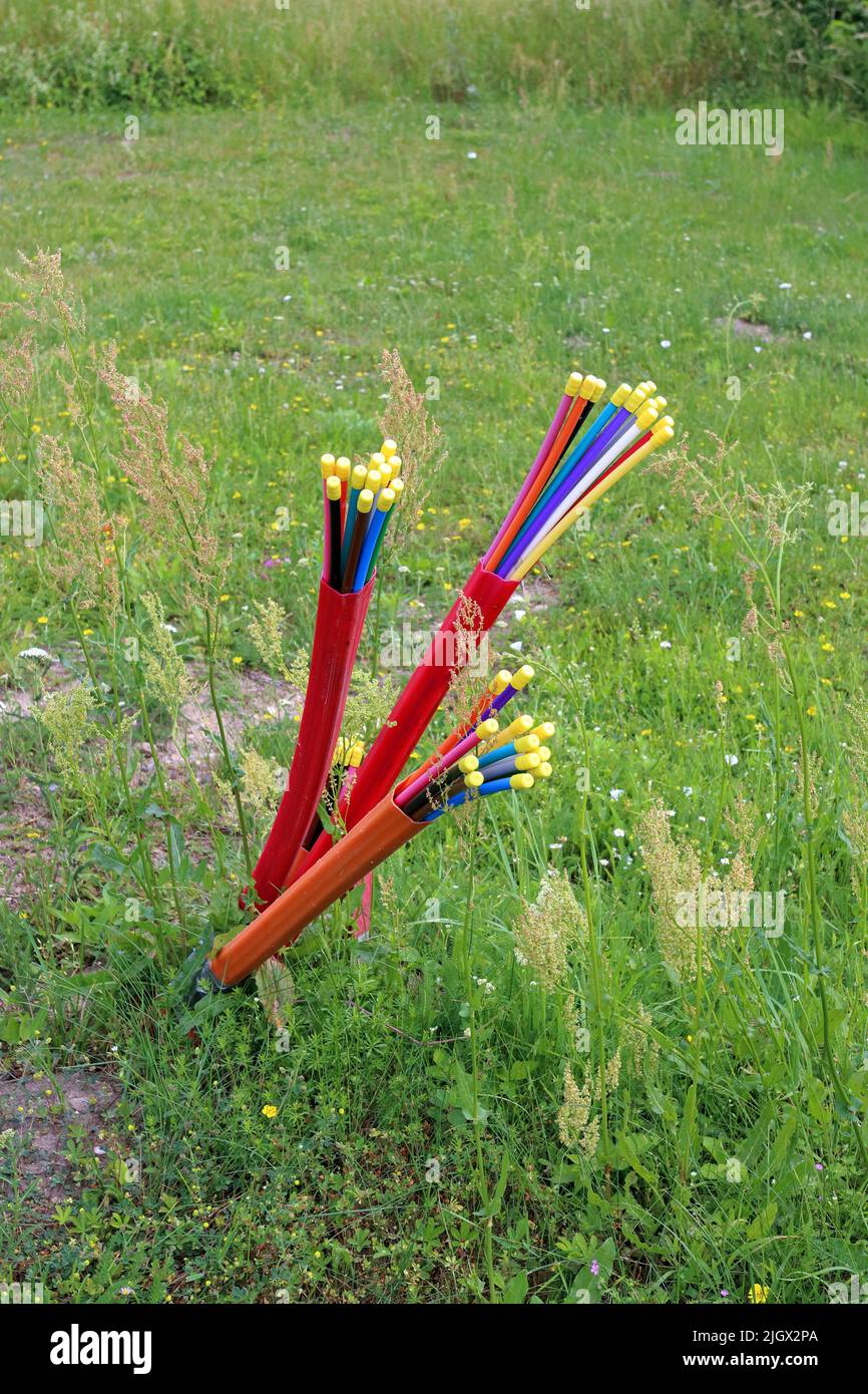 Capped fibre optic cables sticking out above the ground in a rural area ...