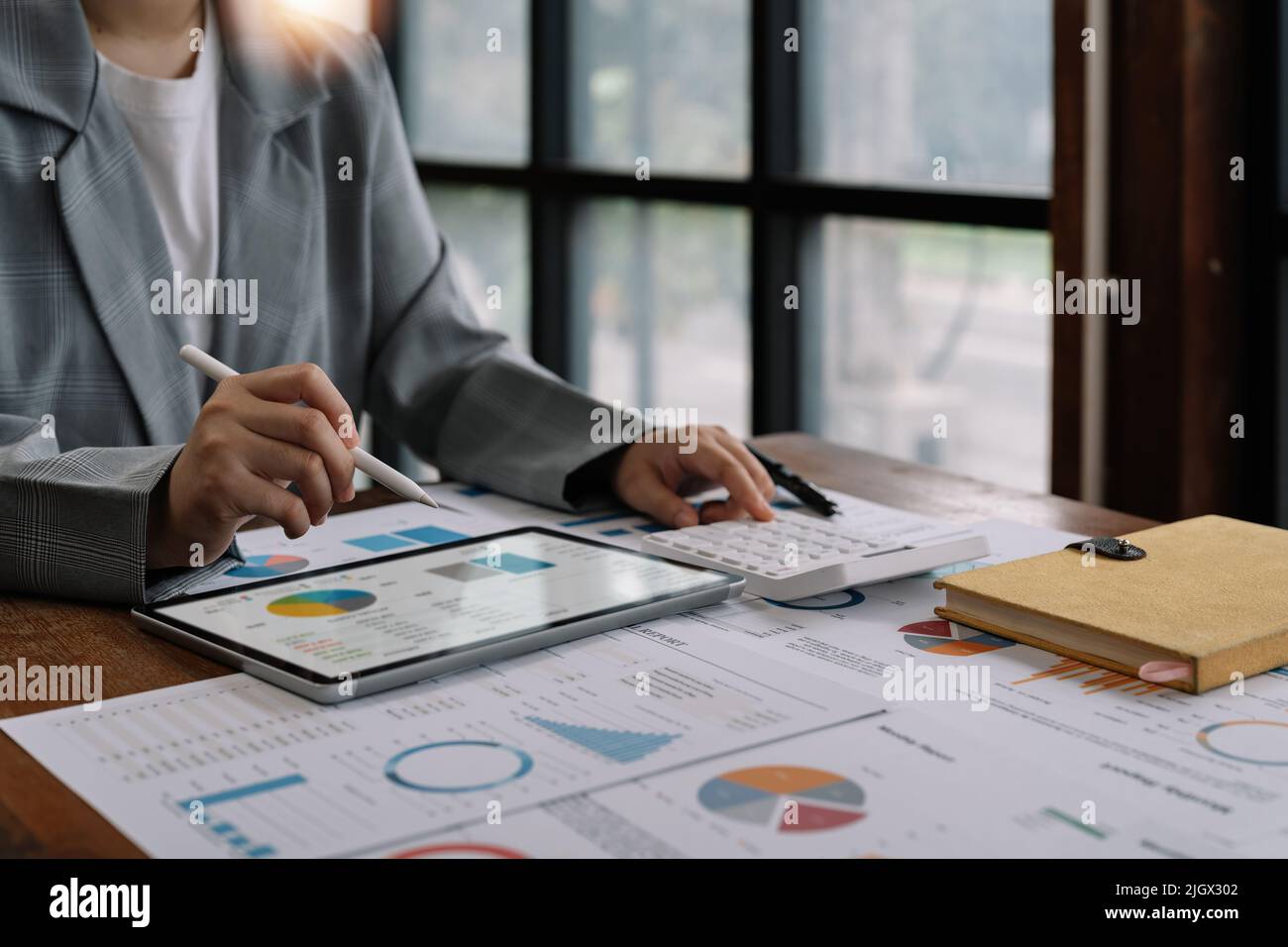 Finance manager discussing company growth project success financial