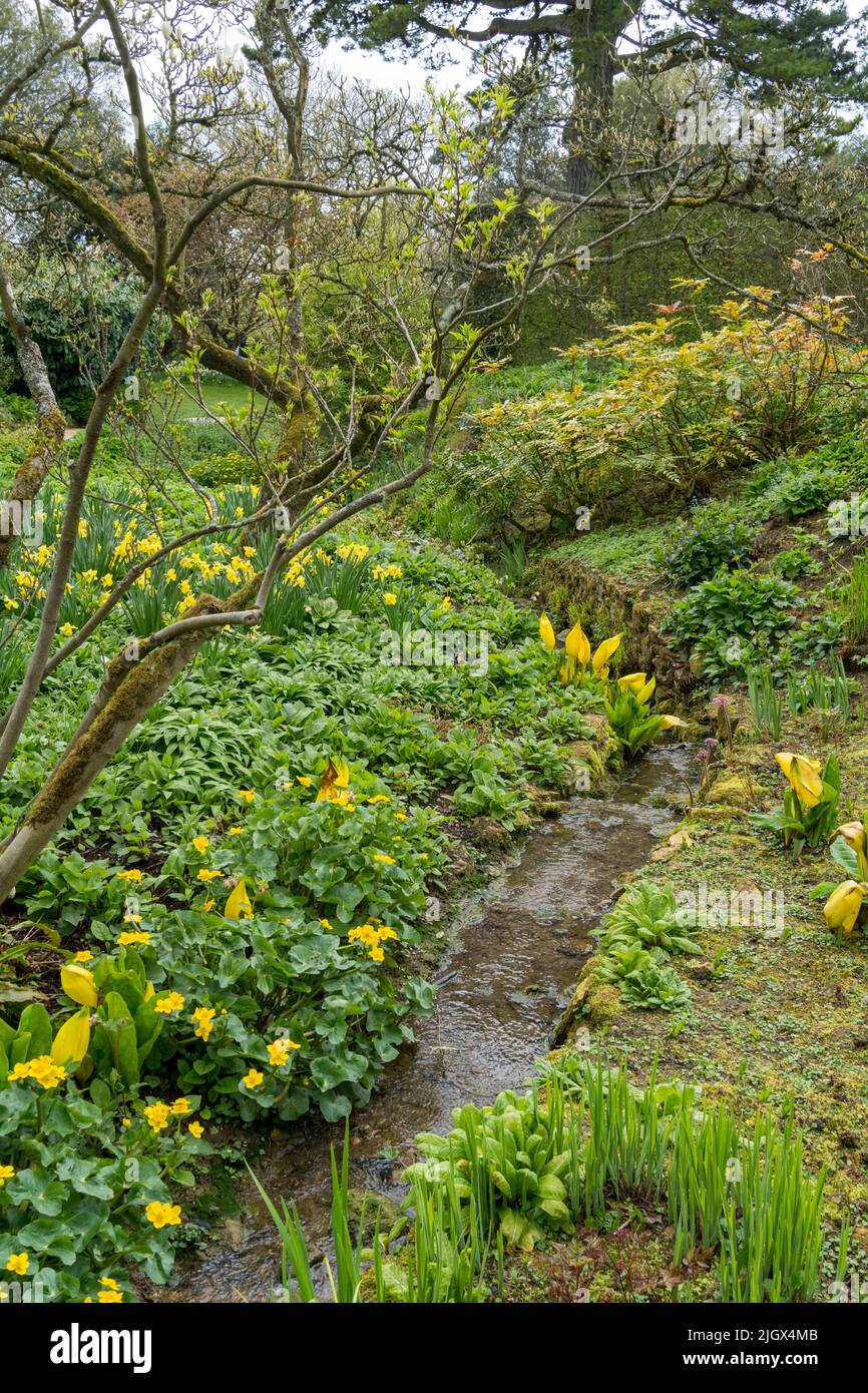 Hidcote Manor, National Trust, world renowned heritage garden, Hidcote Bartrim, near Chipping Campden,Gloucestershire, UK Stock Photo