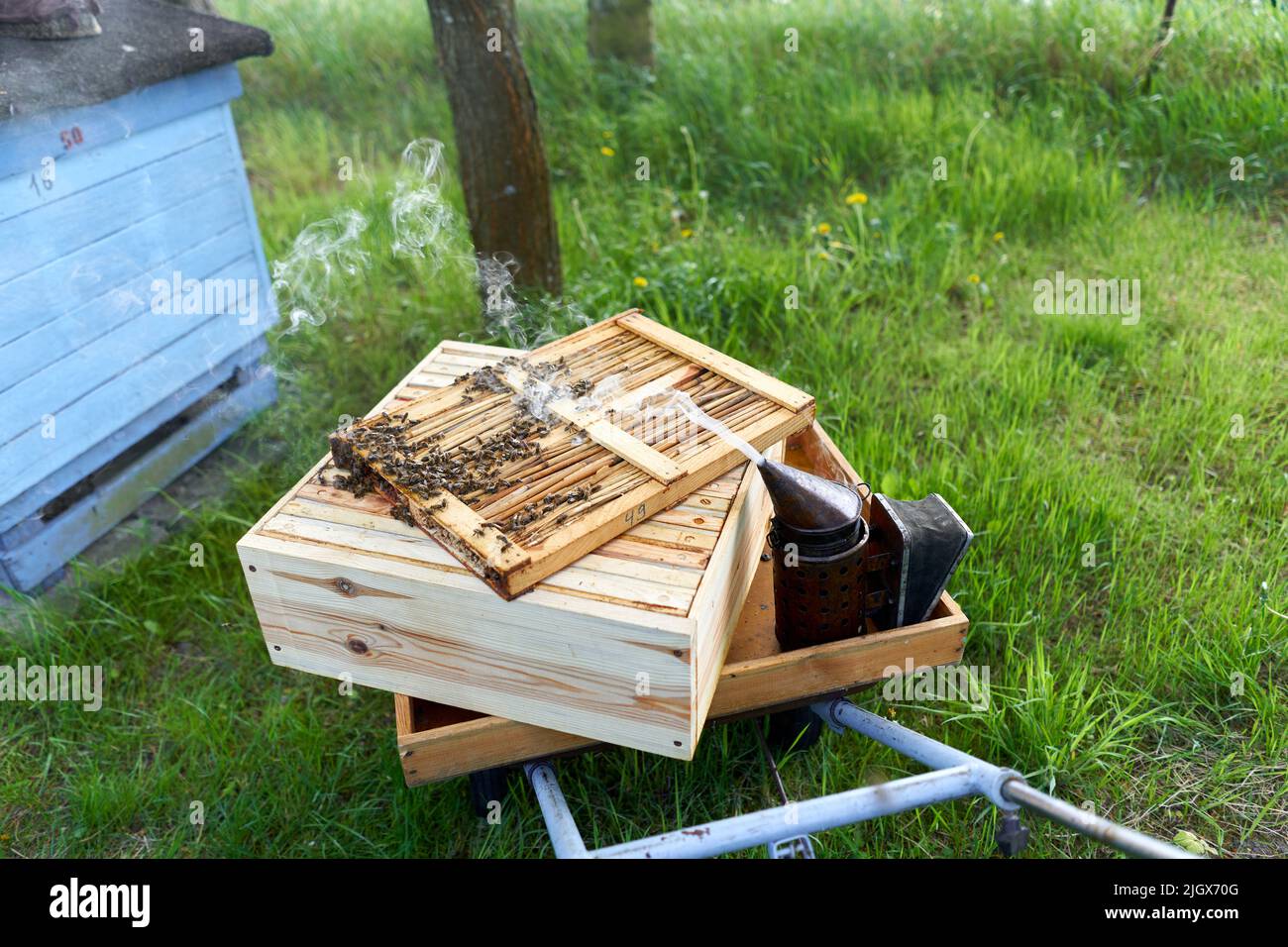 Traditional smoke canister to scare off bees on wheelbarrow outdoors Stock Photo