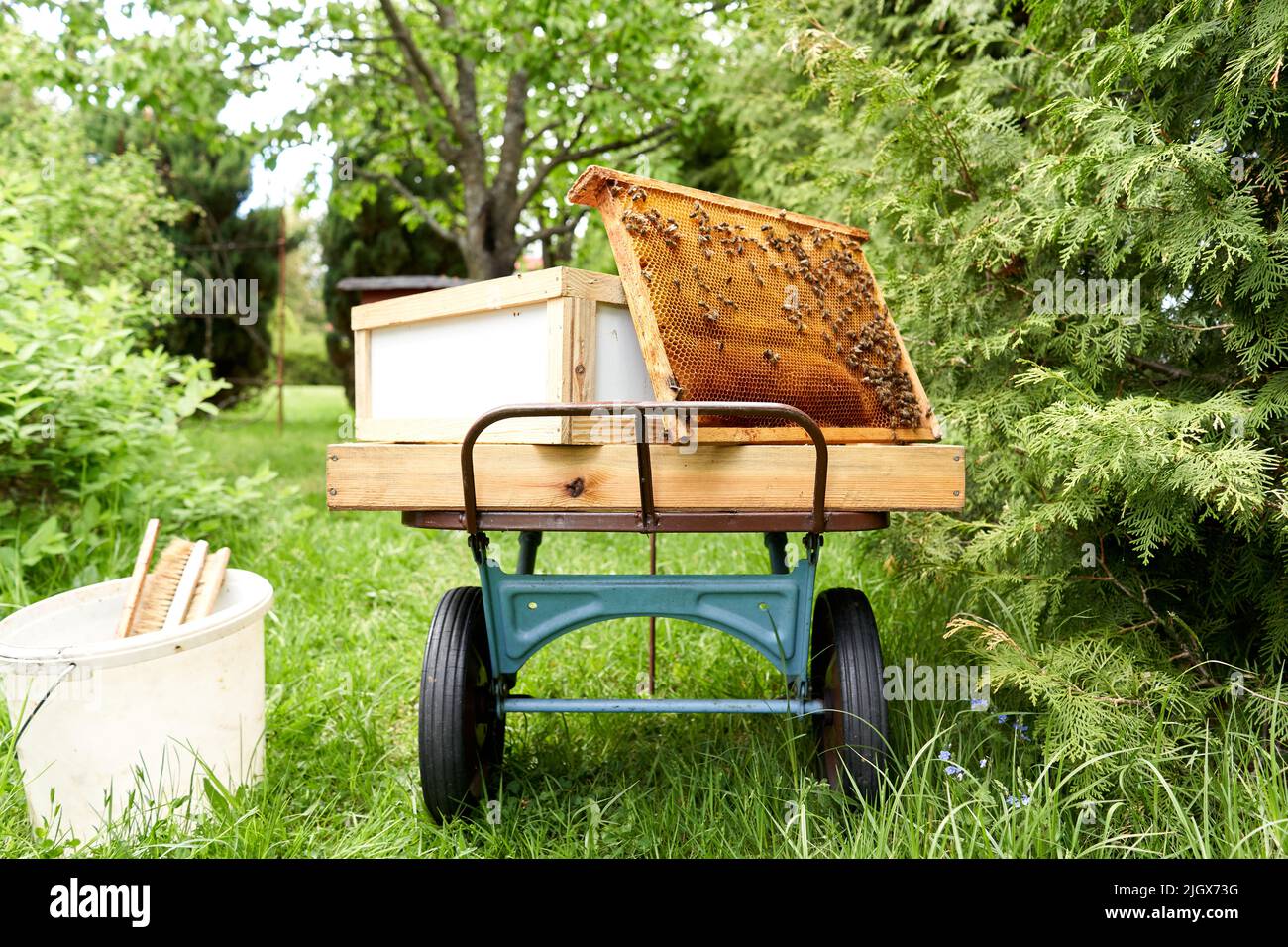 Wheelbarrow with tools and a panel of an artificial hive Stock Photo