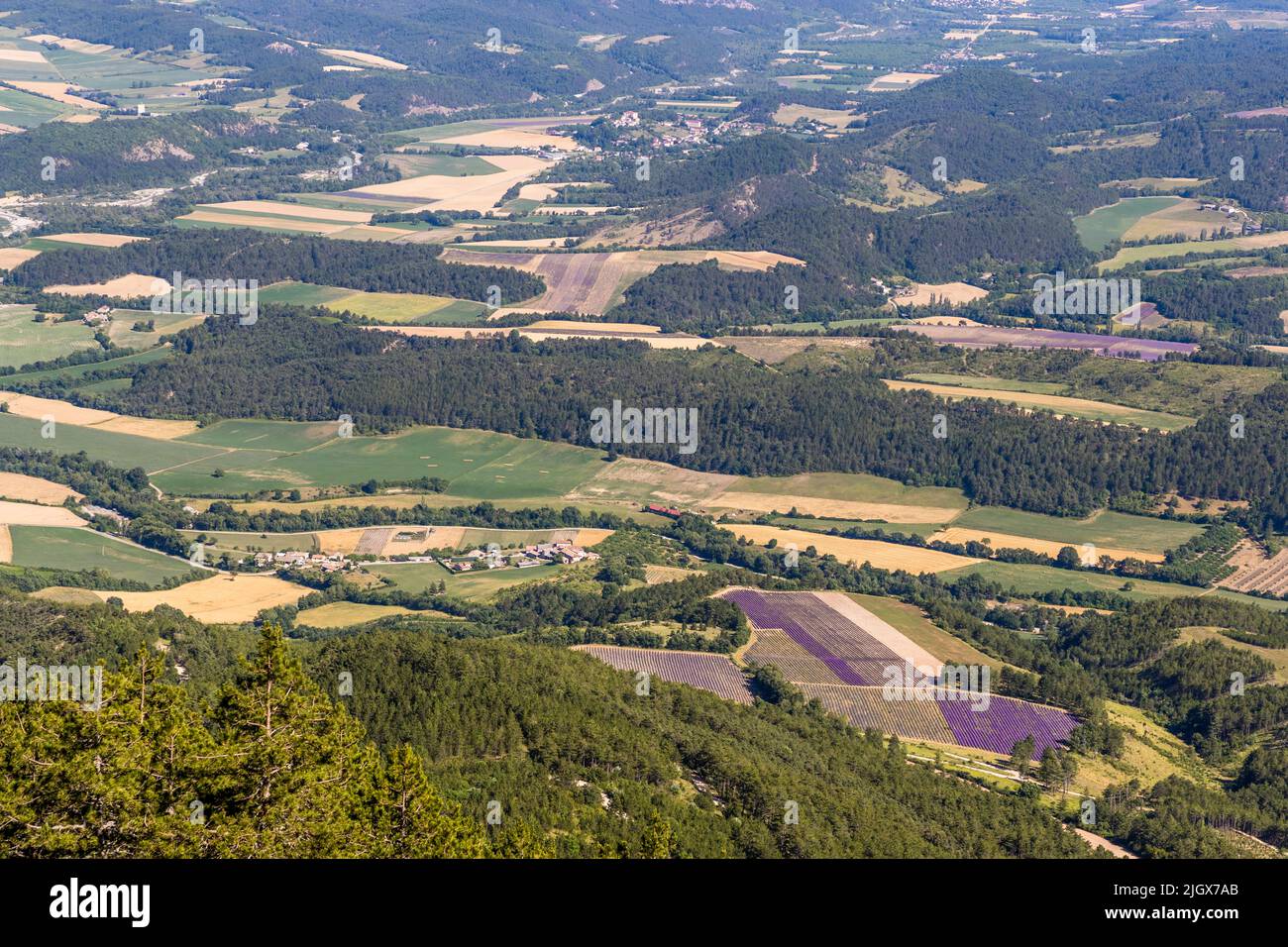 On the plateau of Serre Chauvière you can look over the upper Drôme valley, France Stock Photo