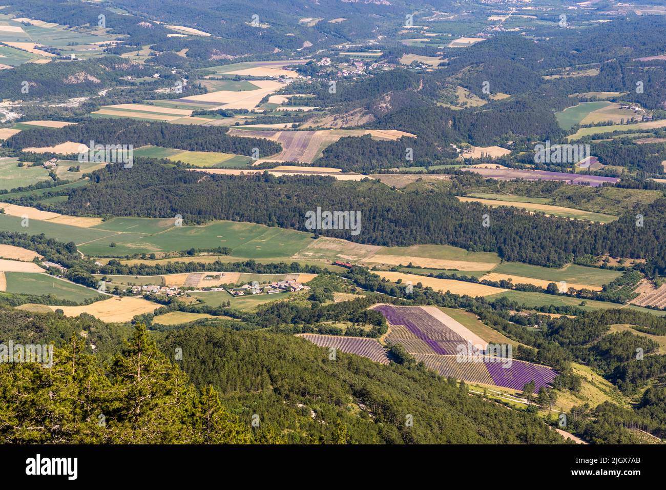 View from the plateau to the plain. In June and July, purple lavender fields dot the landscape in the Drome valley. On the plateau of Serre Chauvière you can look over the upper Drôme valley, France Stock Photo