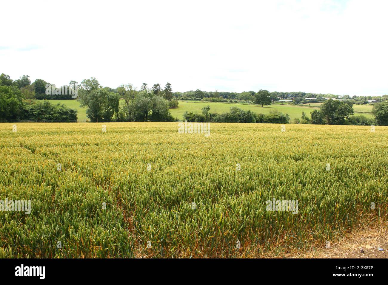 Brickendonbury Estate, home of the laboratories of the Tun Abdul Razak ...