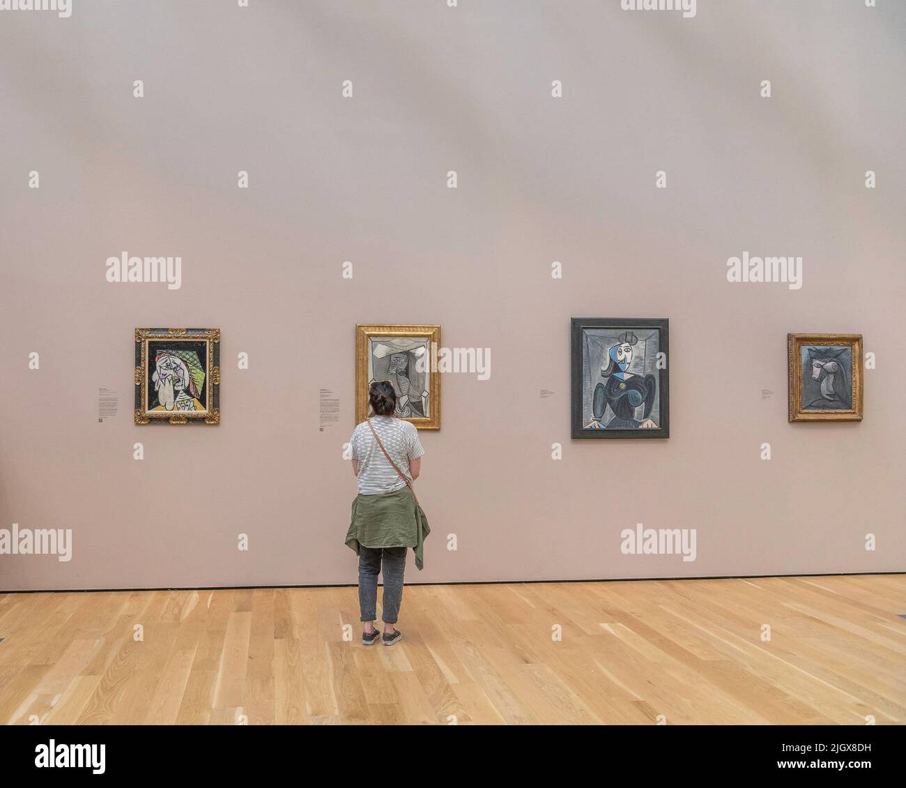 Los Angeles, CA, USA – July 9, 2022: A visitor looks at paintings by Pablo Picasso in the modern art wing of LACMA in Los Angeles, CA. Stock Photo