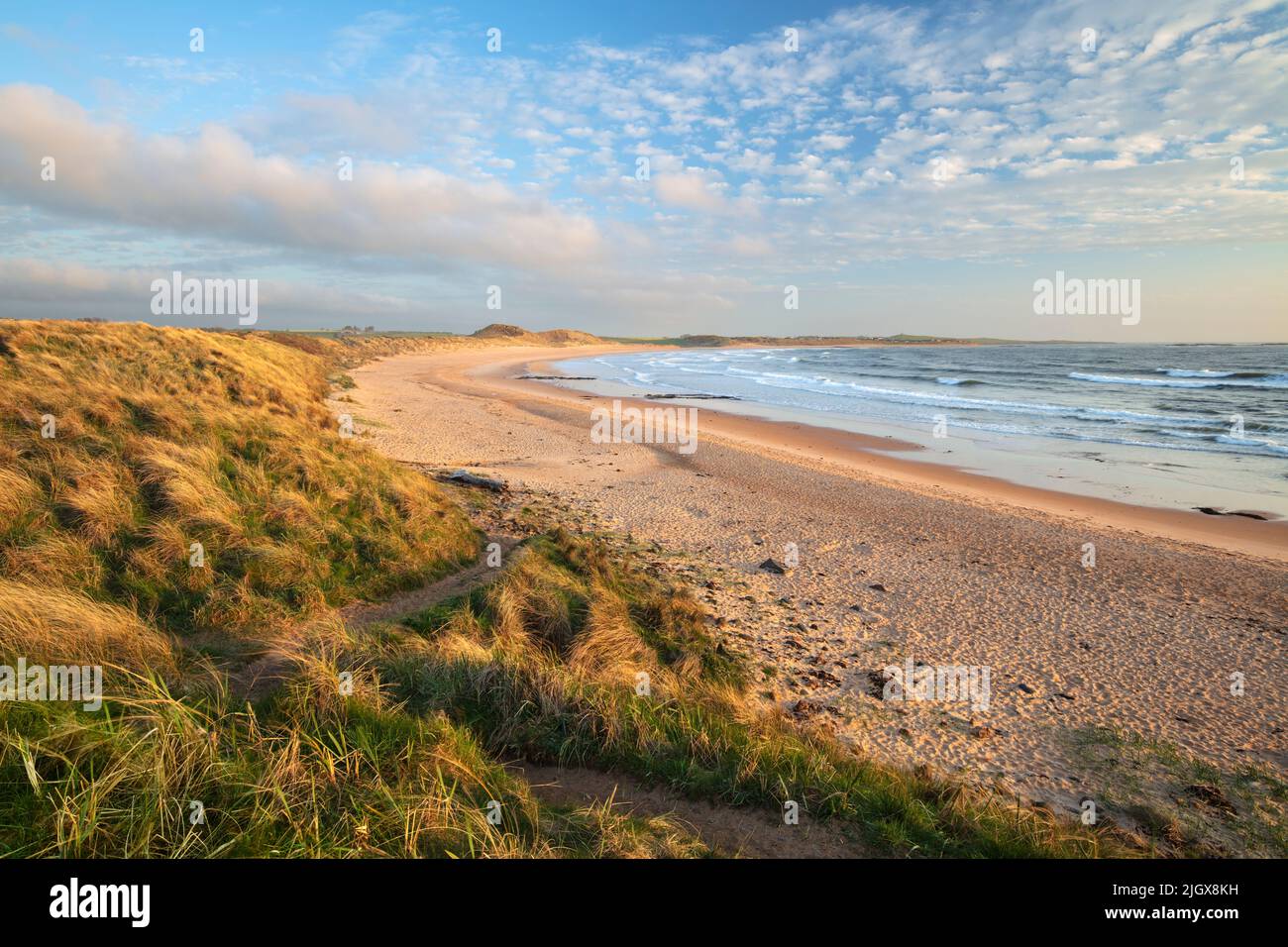 Embleton Bay beach and sand dunes in early morning sunlight at high tide, Embleton, Northumberland, England, United Kingdom, Europe Stock Photo