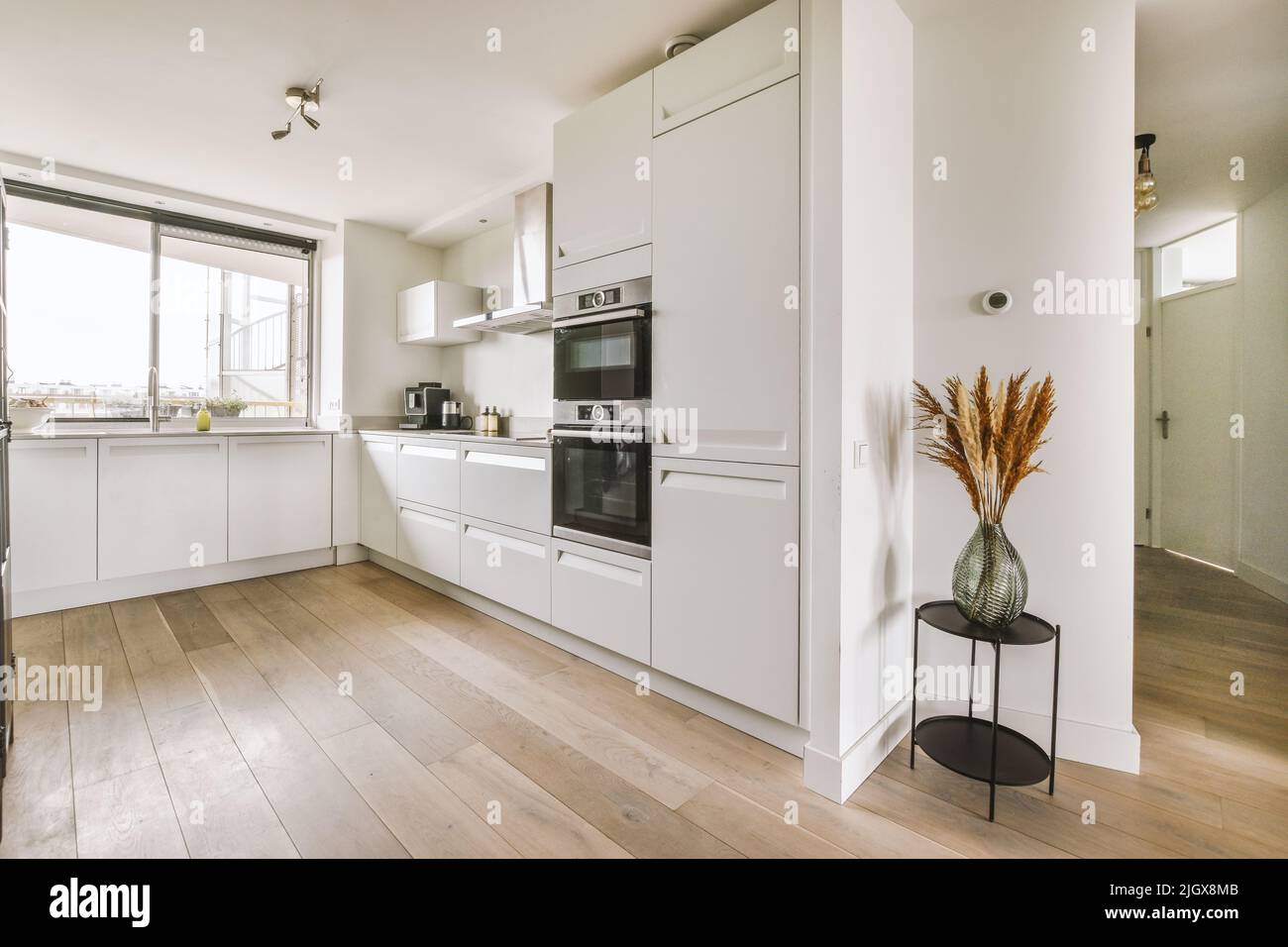 Interior of light kitchen with modern cupboards and appliances in ...