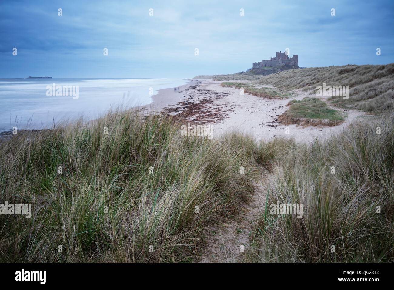 Sand dunes on Bamburgh Beach with Bamburgh Castle in distance, Bamburgh, Northumberland, England, United Kingdom, Europe Stock Photo
