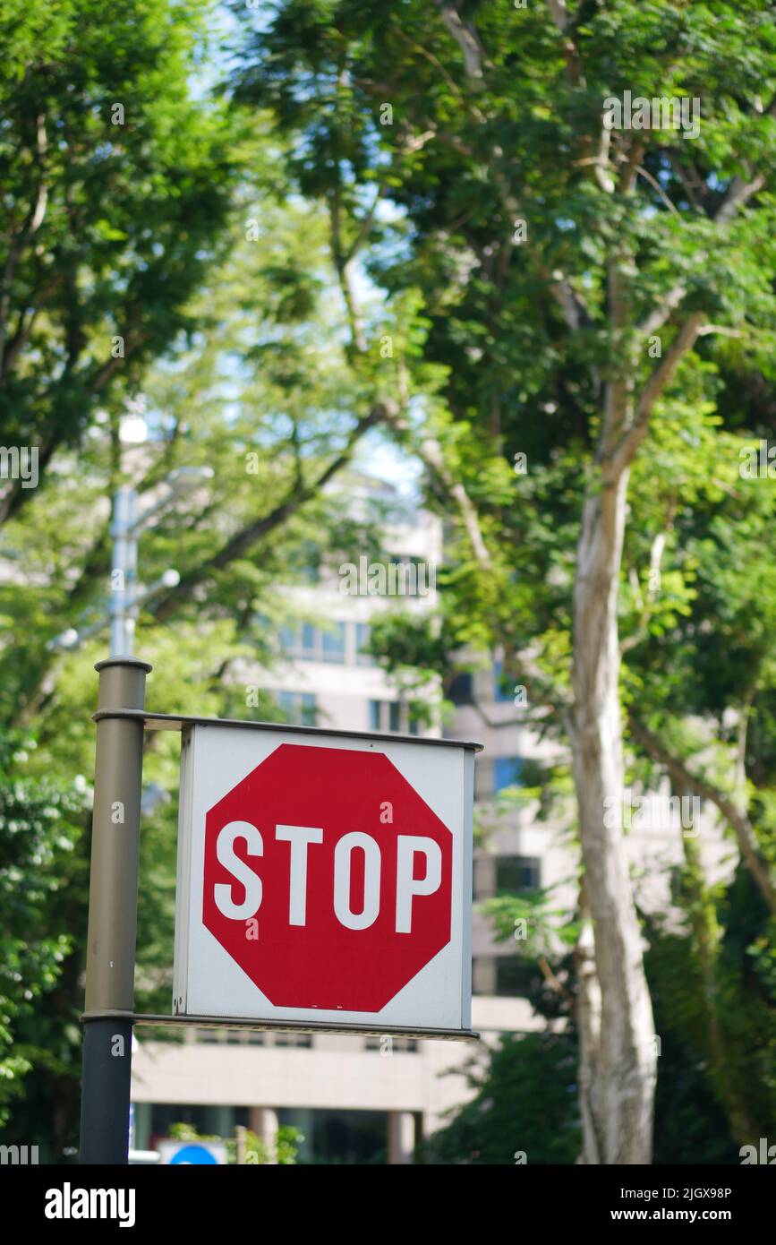 Stop sign in a empty road Stock Photo - Alamy