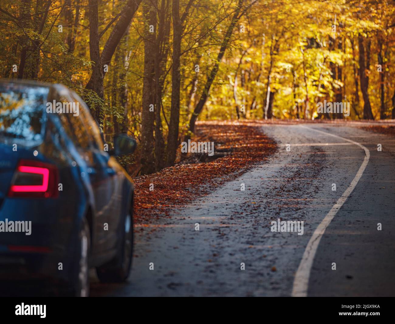 Blue Car on asphalt road on sunny autumn day in park. Golden autumn in ...