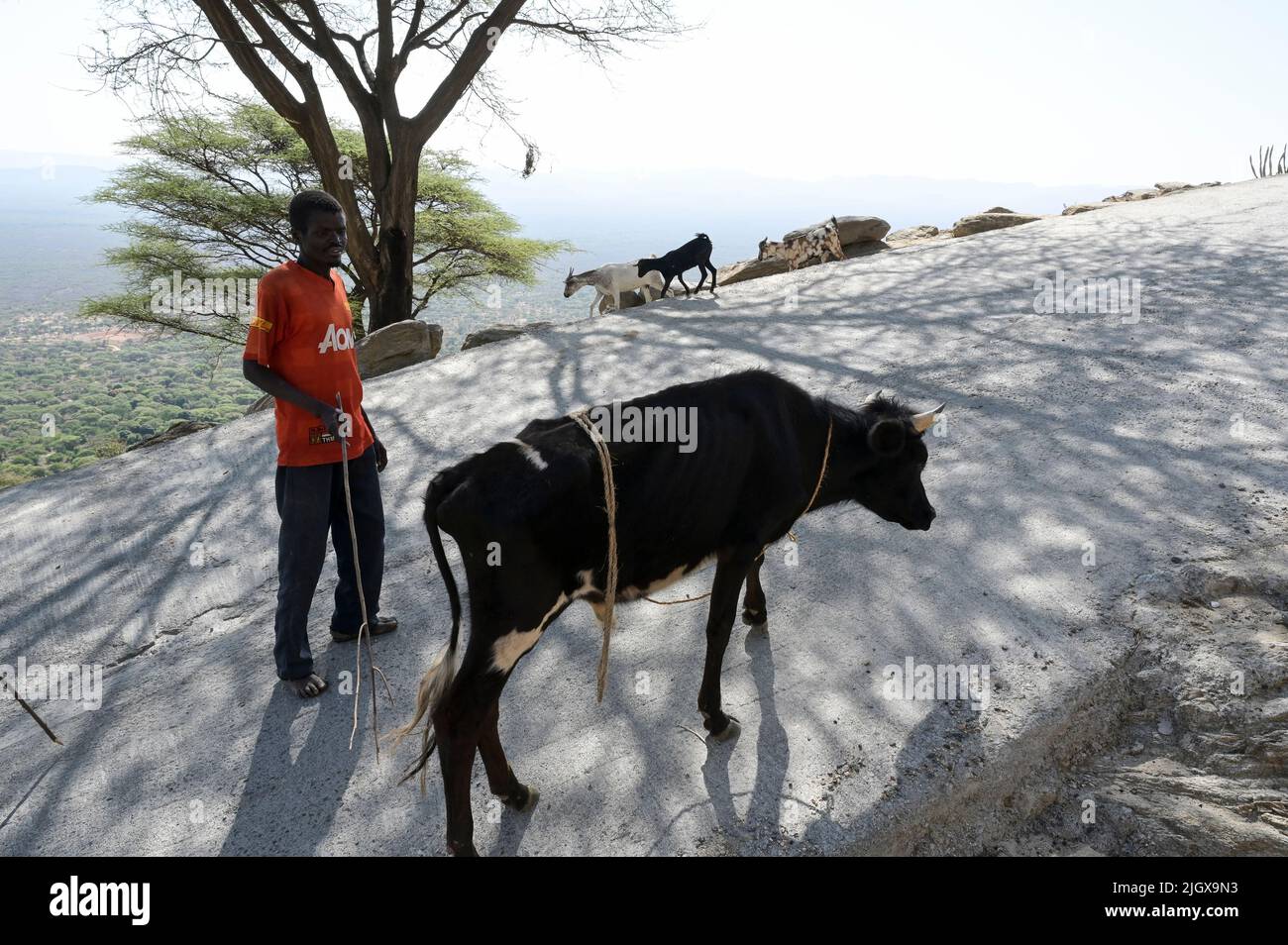 Kalenjin tribe rural hires stock photography and images Alamy