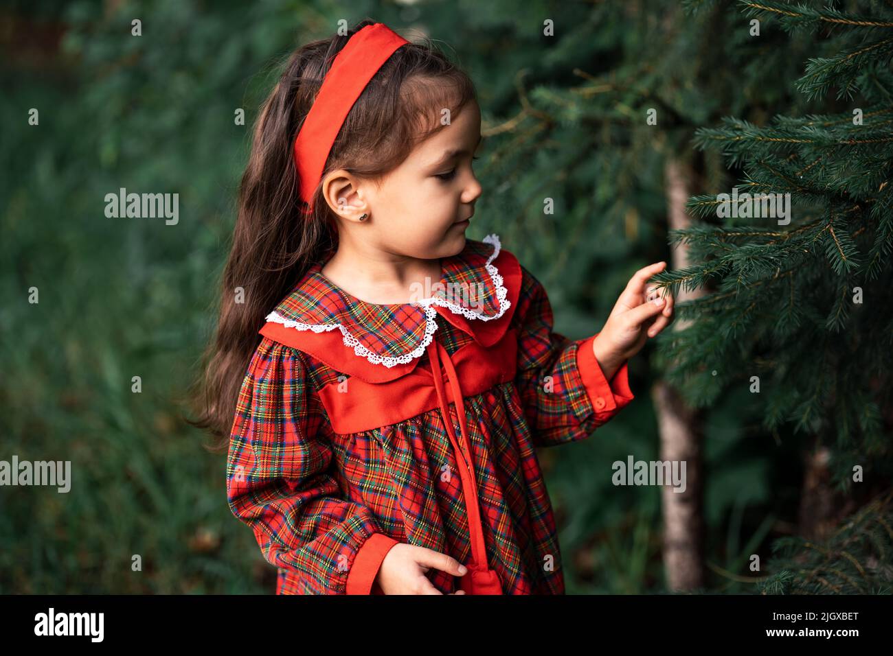 Little girl in dress touches the prickly needles of the Christmas tree