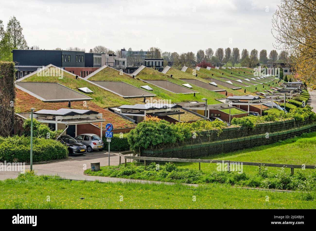 Dordrecht, The Netherlands, April 15, 2022: row of modern patio houses with vegetated roofs and solar panels Stock Photo