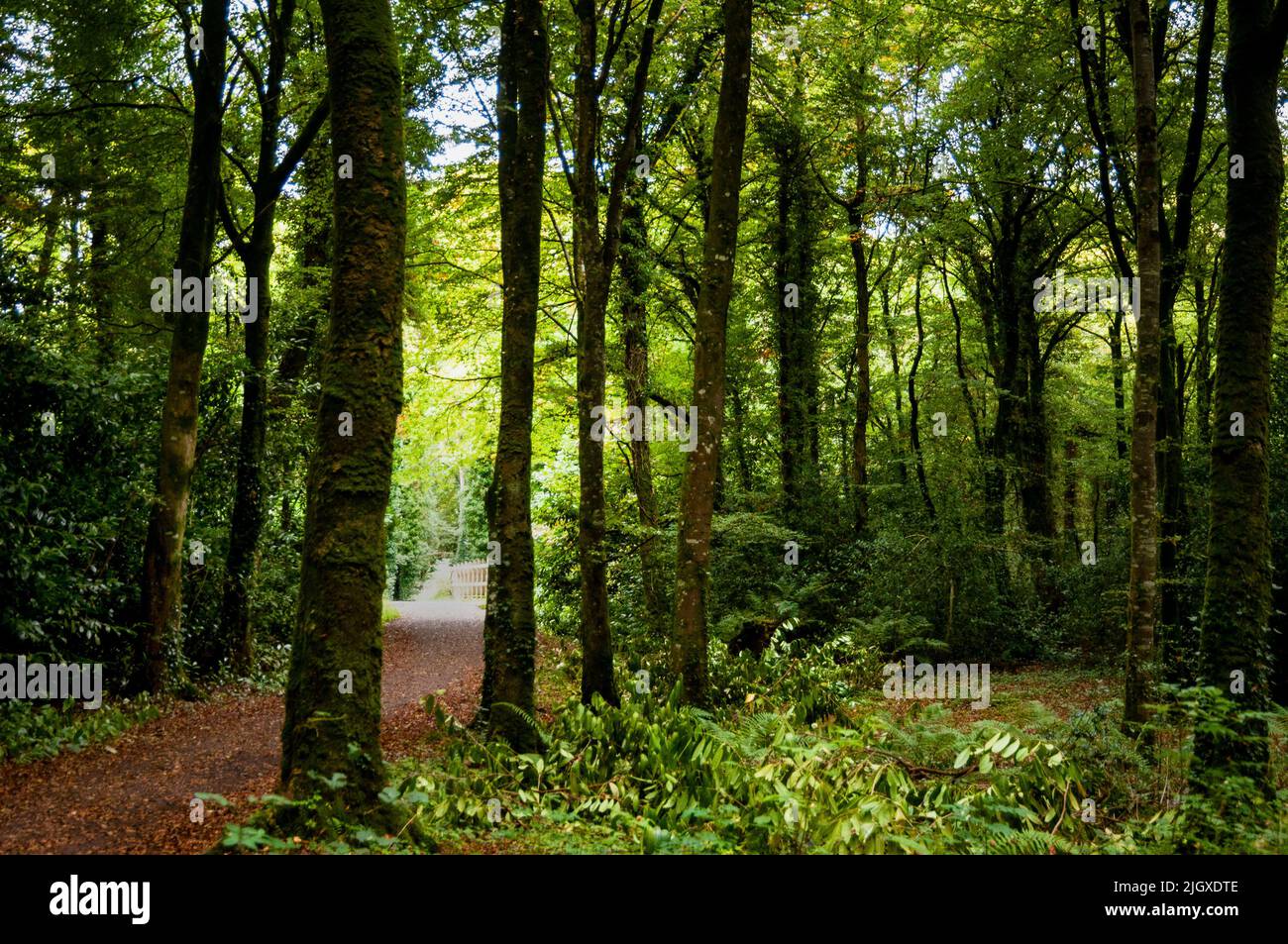 Virginia park lodge cavan hires stock photography and images Alamy