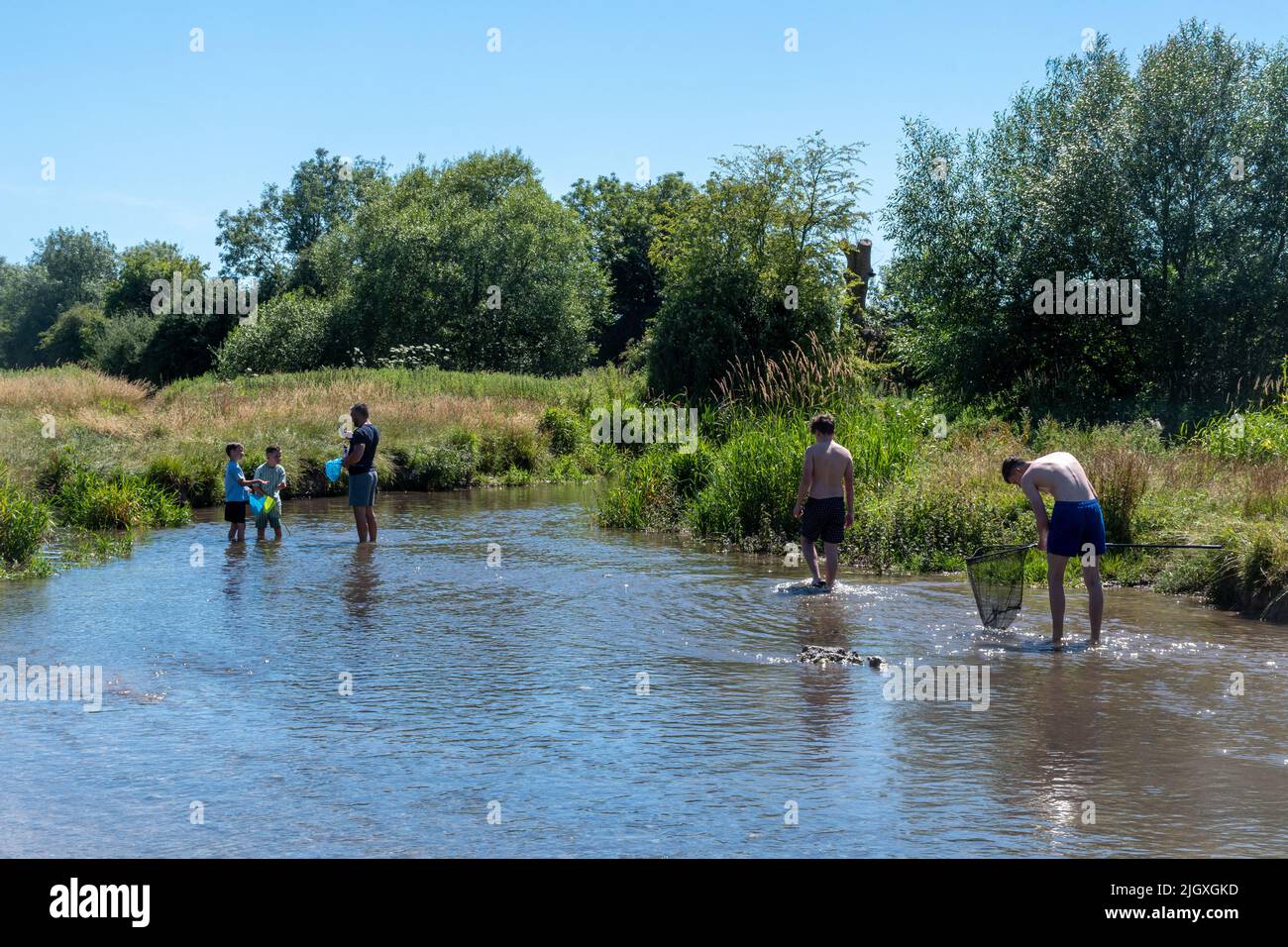 Family families children teenagers kids fishing with nets in the River Meon, a chalk stream with clear water in Hampshire, England, UK on a summer day Stock Photo