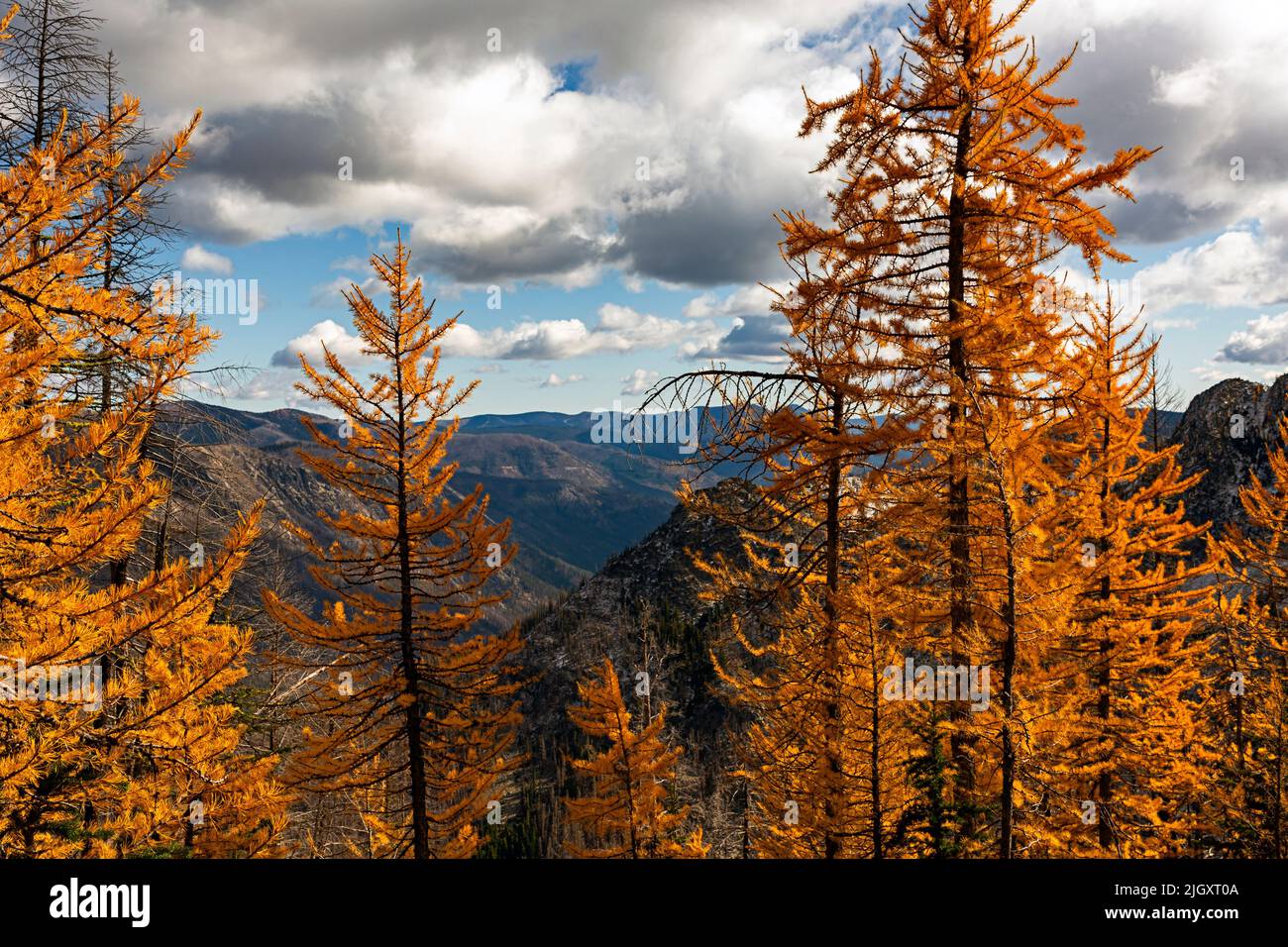 Garland peak trail hi-res stock photography and images - Alamy